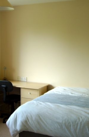 OLYMPUS DIGITAL CAMERA OLYMPUS DIGITAL CAMERA