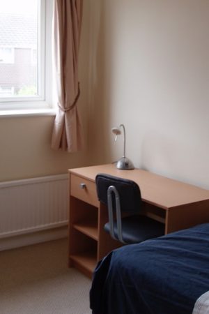 OLYMPUS DIGITAL CAMERA OLYMPUS DIGITAL CAMERA