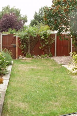 OLYMPUS DIGITAL CAMERA OLYMPUS DIGITAL CAMERA