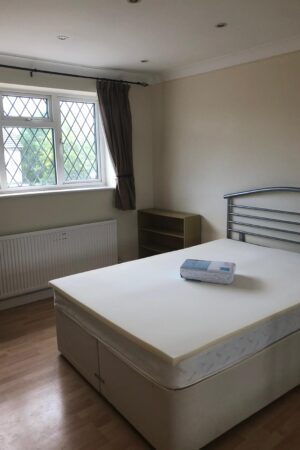 PHOTO-2021-08-06-19-53-39 PHOTO-2021-08-06-19-53-39