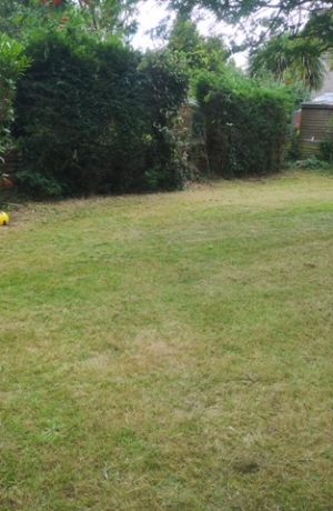 f08ad9e8-fa33-483d-9a21-451038cd0cb7 f08ad9e8-fa33-483d-9a21-451038cd0cb7